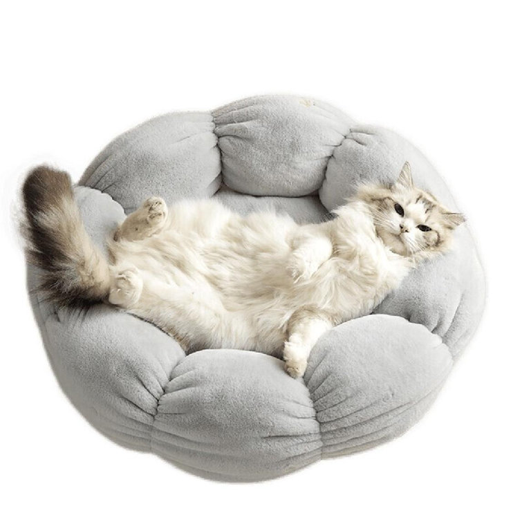 Extra small best sale cat bed